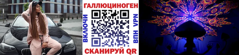 Галлюциногенные грибы Psilocybe  Вязьма 